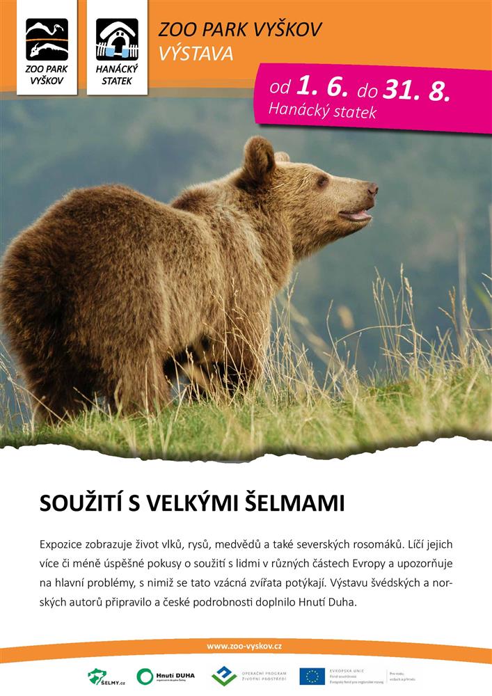 Soužití s velkými šelmami