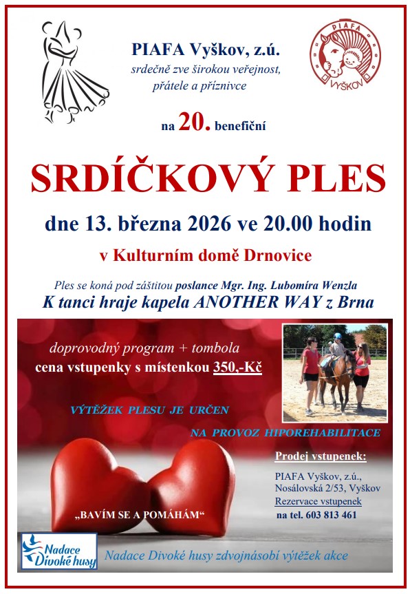 20. benefiční Srdíčkový ples