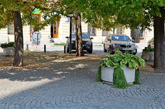 Marná snaha. Lavičky pod lípami zmizely kvůli bezdomovcům