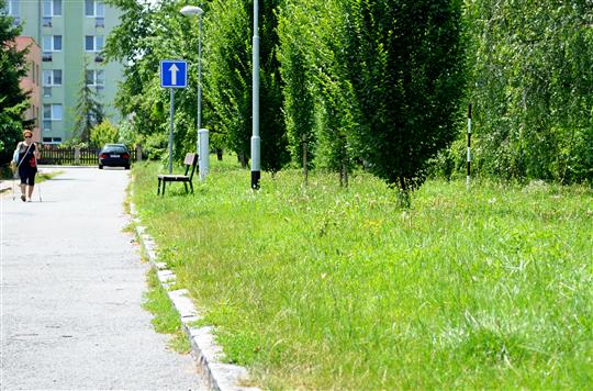 Nové chodníky rostou v místních částech i u mateřské školy