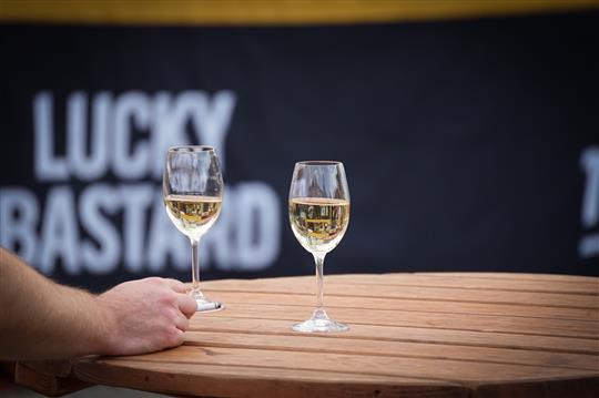 Víno, hudba i otevřené památky. Vyškovské slavnosti vína se vracejí